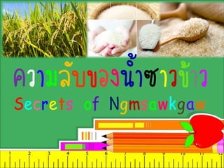 ความลับของน้้าซาวข้าว
Secrets of Ngmsawkgaw

 