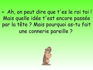 - Ah, on peut dire que t'es le roi toi !
Mais quelle idée t'est encore passée
par la tête ? Mais pourquoi as-tu fait
        une connerie pareille ?
 