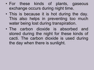 • For these kinds of plants, gaseous
exchange occurs during night time.
• This is because it is hot during the day.
This also helps in preventing too much
water being lost during transpiration.
• The carbon dioxide is absorbed and
stored during the night for these kinds of
cacti. The carbon dioxide is used during
the day when there is sunlight.
 