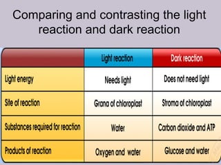 Comparing and contrasting the light
reaction and dark reaction
 