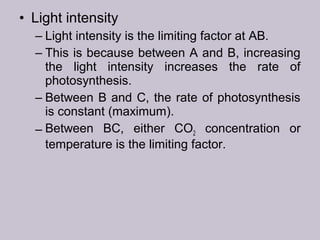 • Light intensity
– Light intensity is the limiting factor at AB.
– This is because between A and B, increasing
the light intensity increases the rate of
photosynthesis.
– Between B and C, the rate of photosynthesis
is constant (maximum).
– Between BC, either CO2 concentration or
temperature is the limiting factor.
 