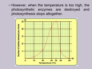 – However, when the temperature is too high, the
photosynthetic enzymes are destroyed and
photosynthesis stops altogether.
 