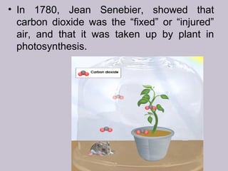 • In 1780, Jean Senebier, showed that
carbon dioxide was the “fixed” or “injured”
air, and that it was taken up by plant in
photosynthesis.
 