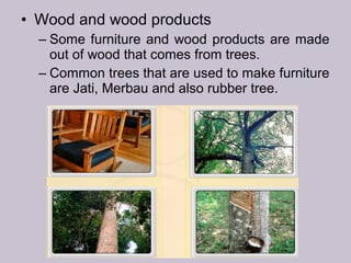 • Wood and wood products
– Some furniture and wood products are made
out of wood that comes from trees.
– Common trees that are used to make furniture
are Jati, Merbau and also rubber tree.
 