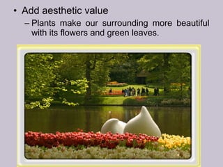• Add aesthetic value
– Plants make our surrounding more beautiful
with its flowers and green leaves.
 