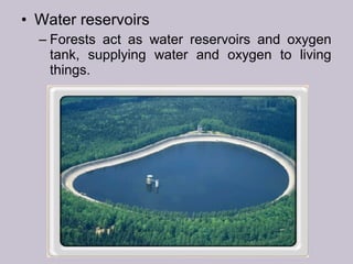 • Water reservoirs
– Forests act as water reservoirs and oxygen
tank, supplying water and oxygen to living
things.
 