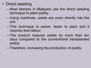 • Direct seeding
– Most farmers in Malaysia use the direct seeding
technique to plant paddy.
– Using machines, seeds are sown directly into the
soil.
– This technique is easier, faster to plant and it
requires less labour.
– The product matures earlier by more than ten
days compared to the conventional transplanted
paddy.
– Therefore, increasing the production of paddy.
 