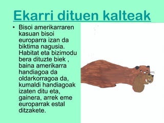 Ekarri dituen kalteak Bisoi amerikarraren kasuan bisoi europarra izan da biktima nagusia. Habitat eta bizimodu bera dituzte biek , baina amerikarra handiagoa da oldarkorragoa da, kumaldi handiagoak izaten ditu eta, gainera, arrek eme europarrak estal ditzakete.   