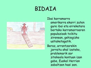 BIDAIA Ibai karramarro amerikarra ekarri zuten gure ibai eta erreketara bertako karramarroaren populazioak txikitu zirenean, gehiegizko ustiaketagatik.  Beraz, arrantzarekin jarraitu ahal izateko, problemarik sor zitekeela kontuan izan gabe, Euskal Herrian zabaltzen hasi zen. 