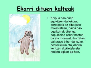 Ekarri dituen kalteak Koipua oso ondo egokitzen da lekura; bertakoak ez ditu asko molestatzen, baina oso ugalkorrak direnez populazioa azkar hazten da eta momentu horretan bai arazo bihur daitezke, bestei lekua eta janaria kentzen dizkietela eta hedatu egiten da han. 