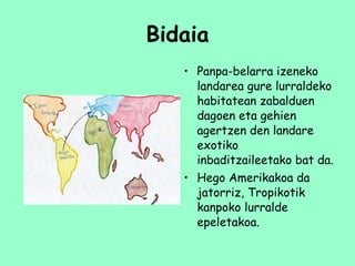 Bidaia Panpa-belarra izeneko landarea gure lurraldeko habitatean zabalduen dagoen eta gehien agertzen den landare exotiko inbaditzaileetako bat da.  Hego Amerikakoa da jatorriz, Tropikotik kanpoko lurralde epeletakoa. 