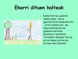 Ekarri dituen kalteak Euskal Herrian, gizakiak landatu gabe , berez agertzen diren landareak dira , arrotz hazten dira , bai inguru naturaletan bai gizakiak erabiltzen dituenetan. Horietatik “Cortaderia Selloana” bat da, eta arriskuan jartzen du , hartzen duen habitata. 