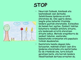 STOP Neurriak fisikoak, kimikoak eta bestelakoak izan daitezke. Selektiboena landarea errotik ateratzea da. Oso ugaria denez, langile-piloa beharko litzateke landare guztiak ateratzeko. Ezinezkoa da hemen hori egitea. Zenbait tokitan boluntario-taldeak antolatu dituzte, eta landareak errotik ateratzen dituzte eskuz. Metodo eraginkorra da zenbait lekutan, esaterako, babestutako eremuetan eta populazio txikiak daudenetan.  Dentsitate handia dagoen leku batzuetan, makinak erabili izan dira landarea ateratzeko eta suntsitzeko. Ez da irtenbide ona, lurra biluzik geratzen baita, eta horrek landare inbaditzaileak sartzea errazten du. 