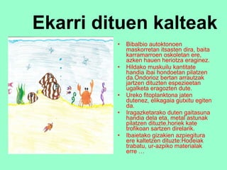 Ekarri dituen kalteak Bibalbio autoktonoen maskorretan itsasten dira, baita karramarroen oskoletan ere, azken hauen heriotza eraginez. Hildako muskuilu kantitate handia ibai hondoetan pilatzen da.Ondorioz bertan arrautzak jartzen dituzten espezieetan ugalketa eragozten dute. Ureko fitoplanktona jaten dutenez, elikagaia gutxitu egiten da. Iragazketarako duten gaitasuna handia dela eta, metal astunak pilatzen dituzte,horiek kate trofikoan sartzen direlarik. Ibaietako gizakien azpiegitura ere kaltetzen dituzte:Hodeiak trabatu, ur-azpiko materialak erre … 