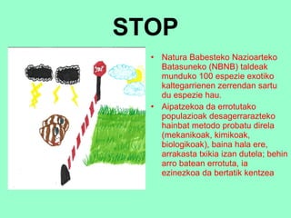 STOP Natura Babesteko Nazioarteko Batasuneko (NBNB) taldeak munduko 100 espezie exotiko kaltegarrienen zerrendan sartu du espezie hau.   Aipatzekoa da errotutako populazioak desagerrarazteko hainbat metodo probatu direla (mekanikoak, kimikoak, biologikoak), baina hala ere, arrakasta txikia izan dutela; behin arro batean errotuta, ia ezinezkoa da bertatik kent zea 