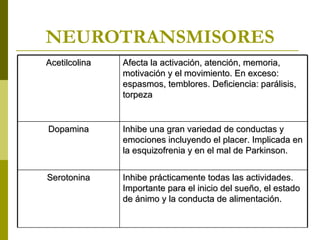 NEUROTRANSMISORES Acetilcolina Afecta la activación, atención, memoria, motivación y el movimiento. En exceso: espasmos, temblores. Deficiencia: parálisis, torpeza Dopamina Inhibe una gran variedad de conductas y emociones incluyendo el placer. Implicada en la esquizofrenia y en el mal de Parkinson. Serotonina Inhibe prácticamente todas las actividades. Importante para el inicio del sueño, el estado de ánimo y la conducta de alimentación. 