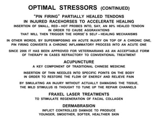 OPTIMAL STRESSORS (CONTINUED)
“PIN FIRING” PARTIALLY HEALED TENDONS
IN INJURED RACEHORSES TO ACCELERATE HEALING
INSERTION OF SMALL, RED – HOT PROBES INTO, SAY, AN 80% HEALED TENDON
IN ORDER TO CAUSE AGGRAVATIONS
THAT WILL THEN TRIGGER THE HORSE’S SELF – HEALING MECHANISMS
IN OTHER WORDS, BY SUPERIMPOSING AN ACUTE INJURY ON TOP OF A CHRONIC ONE,
PIN FIRING CONVERTS A CHRONIC INFLAMMATORY PROCESS INTO AN ACUTE ONE
SINCE 2006 IT HAS BEEN APPROVED FOR VETERINARIANS AS AN ACCEPTABLE FORM
OF THERAPY IN CASES REFRACTORY TO CONVENTIONAL TREATMENT
ACUPUNCTURE
A KEY COMPONENT OF TRADITIONAL CHINESE MEDICINE
INSERTION OF THIN NEEDLES INTO SPECIFIC POINTS ON THE BODY
IN ORDER TO RESTORE THE FLOW OF ENERGY AND RELIEVE PAIN
BY SIMULATING AN INJURY WITHOUT ACTUALLY DAMAGING THE TISSUE,
THE MILD STIMULUS IS THOUGHT TO TUNE UP THE REPAIR CHANNELS
FRAXEL LASER TREATMENTS
TO STIMULATE REGENERATION OF FACIAL COLLAGEN
DERMABRASION
INFLICT CONTROLLED DAMAGE TO PRODUCE
YOUNGER, SMOOTHER, SOFTER, HEALTHIER SKIN
 