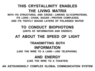 THIS CRYSTALLINITY ENABLES
THE LIVING MATRIX
WITH ITS STRUCTURAL AND CROSS – LINKING GLYCOPROTEINS,
ITS LONG – CHAIN, SUGAR – PROTEIN COMPLEXES,
AND ITS TIGHTLY BOUND LAYERS OF POLARIZED WATER
TO CONDUCT BIOPHOTONS
(UNITS OF INFORMATION AND ENERGY)
AT ABOUT THE SPEED OF LIGHT
TRANSMITTING BOTH
INFORMATION
(LIKE THE WIRE TO A LAND – LINE TELEPHONE)
AND ENERGY
(LIKE THE WIRE TO A TOASTER)
AN ASTOUNDINGLY COMPLEX GLOBAL COMMUNICATION SYSTEM
 