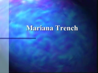 Mariana Trench
 