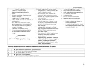 BIOLOGY FORM45 ikmal hafizah
12
Aerobic respiration Anaerobic respiration in human muscle Anaerobic respiration in yeast
y Continuous supply of oxygen.
y Glucose molecules are oxidised by
oxygen.
y Complete breakdown of glucose in the
presence of oxygen.
y A large amount of energy released.
y Carbon dioxide and water are produced as
waste products.
y Most of the nergy released is used to
synthesise adenosine triphosphate (ATP)
from adenosine diphosphate (ADP) and
inorganic phosphate.
y ATP acts as instant energy source.
y ATP consists of phosphate bonds which
can be easily broken down to release
energy.
ATP ADP + phosphate + energy
y During a vigorous exercise (running), the
breathing rate is increased.
y This is to supply more oxygen to the
muscles for rapid muscular contraction.
y However, the supply of oxygen to muscles
is still insufficient.
y and the muscles have to carry out
anaerobic respiration to release energy.
y The glucose is converted into lactic acid,
with only a limited amount of energy
being produced.
y An oxygen debt builds up in the body,
when no oxygen use in energy production.
y High level of lactic acid in the muscles
cause them to ache.
y After running, the athlete breathes more
rapidly and deeply than normal for
twenty minutes.
y There is recovery period after 10 minutes
until it reaches 20 minutes when oxygen is
paid back during aerobic respiration.
y About 1/6 lactic acid is oxidized to carbon
dioxide, water and energy.
y Yeast normally respires aerobically.
y Under anaerobic condition, yeast carry
out anaerobic respiration.
y Produces ethanol.
y Process known as fermentation.
y Catalysed by the enzyme zymase.
- Ethanol produced can be used in
making wine and beer.
- In bread making, the carbon dioxide
released during fermentation of yeast
causes the dough to rise.
Similarities between the sturucture of digestive and digestion processof ruminants and rodents
S1 y Both alimentary canal contains bacteria/protozoa
P1 y To secrete extracellular enzyme//to digest
P2 y To digest cellulose into glucose
S2 y Both have large surface area
P1 y To increase rate of diffusion //hydrolysed food
Energy released
 