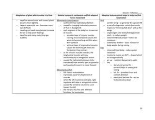 BIOLOGY FORM45 ikmal hafizah
20
Adaptation of plant which enable it to float Skeletal system of earthworm and fish adapted
for its movement
Adaptive features which helps in birds and fish
locomotion
 have fine aerenchyma wall tissues (plants
become more lighter)
 have air spaces/air sacs (becomes more
easy to float)
 have big and swell stem/petiole (increase
the air to help plant floating)
 have fine and many roots (trap gas
bubbles)
Movements in earthworm
 earthworm has hydrostatic skeleton
 moves by changing hydrostatic pressure
of fluid in its segment
 each segment of the body has its own set
of muscles
o an outer layer of circular muscles
running around the body causes the
worm to become long and thin when
they contract
o an inner layer of longitudinal muscles
causes the worm to get short and
thick when they contract
 as the circular muscles contract, the
longitudinal muscles will relax
simultaneously in antagonistic action
 causes the hydrostatic pressure to be
transferred from anterior part to posterior
part causing the worm to move forward
Movements in fish
 fish has an endoskeleton
 it provides place for attachment of
muscles
 when the left myotome contracts, right
myotome will relax in antagonistic action
 causes the vertebral column to curve
toward the left
 the fish also has fins with different
functions for locomotion
Bird
 aerofoil wing ʹ to generate the upward lift
 a pair of antagonistic muscle (pectorolis
major and minor) pulled down and up the
wings
 single organ (one testes/kidney)//small
skull ʹ to reduce weight
 streamlined body shapeʹ reduce air
resistance
 waterproof feather ʹ avoid increase in
body weight during raining
Fish
 streamed lined body ʹ reduce water
resistance
 myotome muscle are W/V ʹ shaped which
act antagonistically
 air sac ʹ maintain buoyancy in water
 fins
o dorsal and ventral fin ʹ
prevent/helps in yawing and
rolling
o tail fin ʹ provides thrust and
controls direction
o pelvin and pectoral fin ʹ act as
brakes/to slow down
 