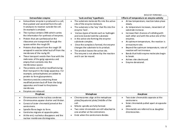 cell biology essays . proteins cell biology essays . proteins