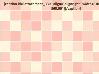 [caption id="attachment_330" align="alignright" width="30
                           $65.00"][/caption]
 