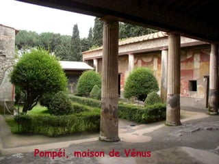 Pompéi, maison de Vénus 
