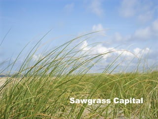Sawgrass Capital
 