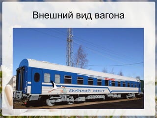 Внешний вид вагона 