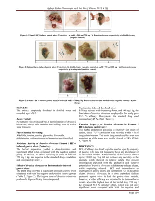 Agbaje Esther Oluwatoyin et al. Int. Res. J. Pharm. 2013, 4 (8)
Page 109
a b c
Figure 1: Ethanol / HCl induced gastric ulcer (Protective) ¬ a and b = 300 and 750 mg / kg Brassica oleraceae respectively, c is Distilled water
(negative control)
d e f g
Figure 2: Indomethacin-induced gastric ulcer (Protective) d is distilled water (negative control), e and f =750 and 300 mg / kg Brassica oleraceae
respectively, g is misoprostol (positive control).
h i
Figure 3: Ethanol / HCL-induced gastric ulcer (Curative) h and i = 750 mg / kg Brassica oleraceae and distilled water (negative control) 4 h post
therapy
RESULTS
The extract, completely dissolved in distilled water and
recorded a pH of 8.5
Acute Toxicity
No lethality was produced by i.p administration of Brassica
oleraceae, except mild sedation and itching, both of which
were transient.
Phytochemical Screening
Alkaloids, tannins, cardiac glycosides, flavonoids,
phlobatanins, anthraquinones and saponins were identified.
Antiulcer Activity of Brassica oleraceae Ethanol / HCl--
induced gastric ulcer (Protective)
The herbal preparation yielded a dose-dependent and
significant effect when compared with the negative control
group. In addition, its effect, especially in doses of 300 and
750 mg / kg, was superior to the standard drugs cimetidine
and omeprazole (Table 1).
Effect of Brassica oleraceae on Indomethacin-induced
gastric ulcer
The plant drug recorded a significant antiulcer activity when
compared with both the negative and positive control groups
(Table 2, Figure 2). The highest dose of Brassica oleraceae
produced a higher efficacy than misoprostol.
Cysteamine-induced duodenal ulcer
Efficacy reduced with increasing doses, and 100 mg / kg, the
least dose of Brassica oleraceae employed in this study gave
85.3 % efficacy. Omeprazole, the standard drug used
recorded only 45 % effect (Table 3).
Curative Property of Brassica oleraceae in Ethanol /
HCL-induced gastric ulcer
The herbal preparation possessed a relatively fast onset of
action, since 87.5 % protection was recorded within 4 h of
drug administration. The herbal drug antiulcer effect was also
sustained as all the sores were totally cleared by 24 h. (Table
4, Figure 3).
DISCUSSION
BOL (Cabbage) is a local vegetable used as spice by majority
of people, who may not necessarily have any knowledge of
its medicinal benefits. Administration of the aqueous extract
up to 10,000 mg / kg did not produce any mortality in the
animals, which showed its relative safety. The present
investigation explored both the protective and curative
potentials of Brassica oleraceae in laboratory-induced ulcers,
while employing ethanol / HCl and indomethacin as
ulcerogens in gastric ulcers, and cysteamine HCl in duodenal
ulcers. Brassica oleraceae, in a dose dependent fashion
protected against ulcer in both the gastric ulcer models,
however, a higher efficacy was recorded in the indomethacin
model, where the highest dose of the herbal drug, 750 mg /
kg produced 90.6 % antiulcer effect, which was not only
significant when compared with both the negative and
 