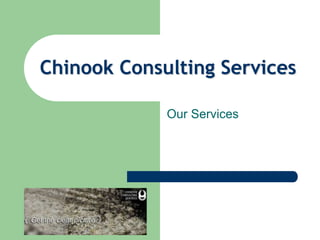 Our Services
Chinook Consulting Services
 