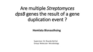 Are multiple Streptomyces
dpsB genes the result of a gene
duplication event ?
Hemlata Bisnauthsing
Supervisor: Dr. Ricardo Del Sol
Group: Molecular Microbiology
 