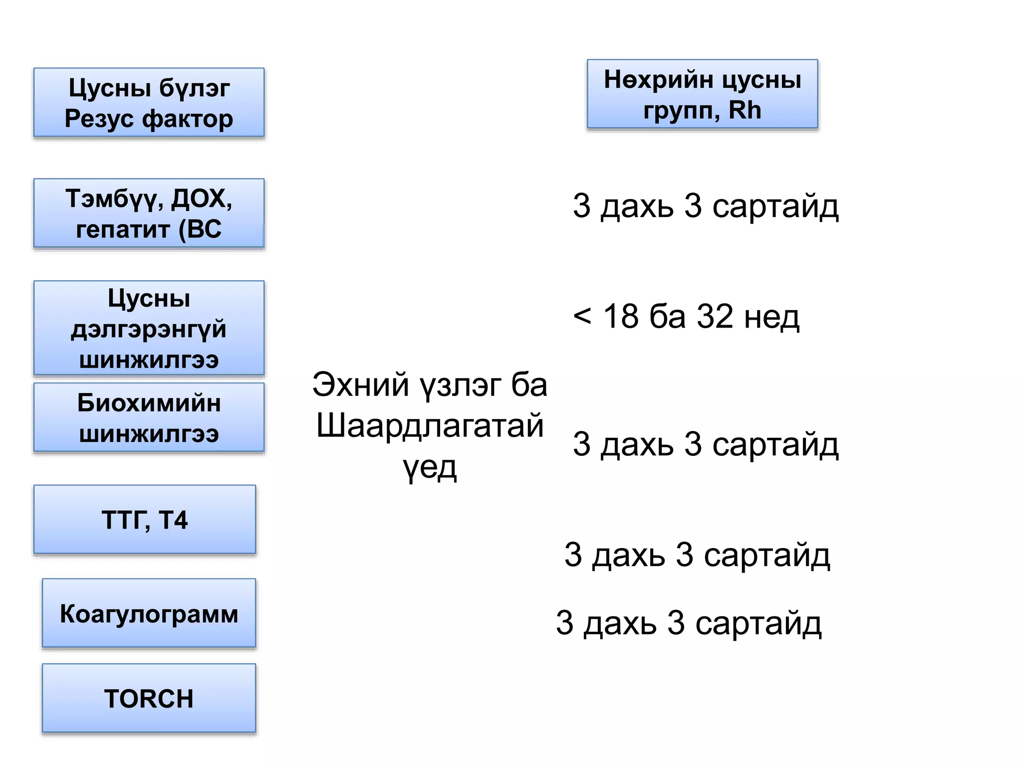 •Цусны бүлэг
Резус фактор
Тэмбүү, ДОХ,
гепатит (ВС
Цусны
дэлгэрэнгүй
шинжилгээ
Биохимийн
шинжилгээ
ТТГ, Т4
Коагулограмм
TORCH
Нөхрийн цусны
групп, Rh
3 дахь 3 сартайд
< 18 ба 32 нед
Эхний үзлэг ба
Шаардлагатай
үед
3 дахь 3 сартайд
3 дахь 3 сартайд
3 дахь 3 сартайд
 