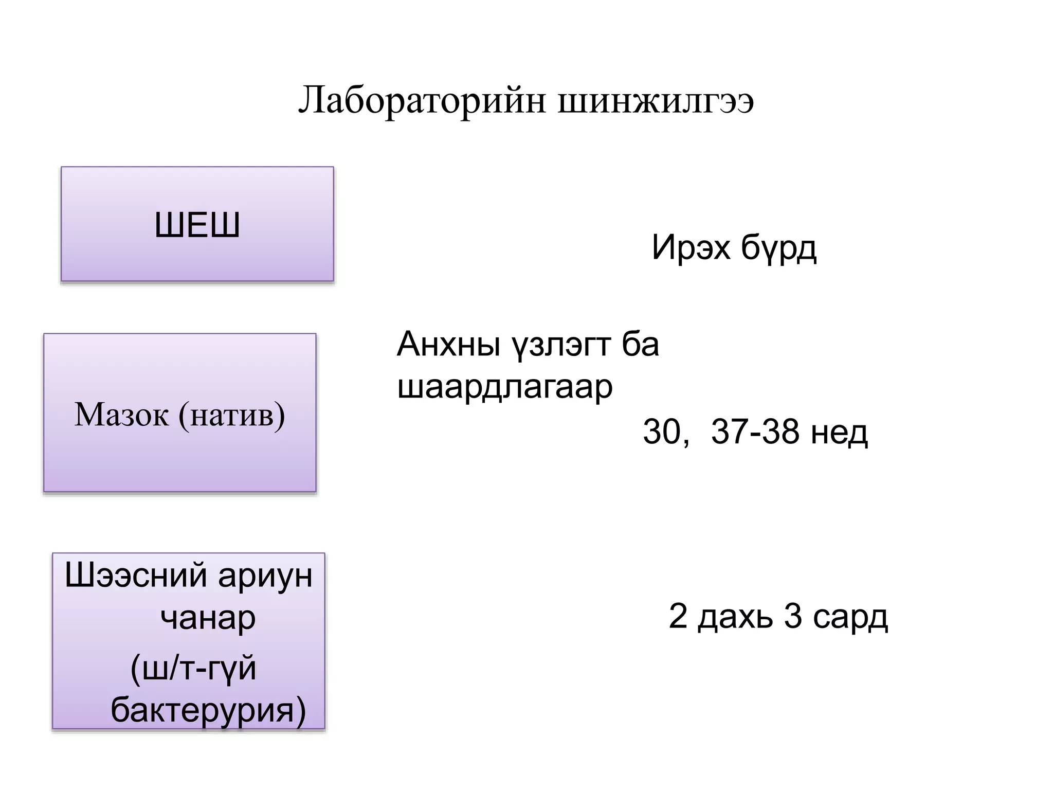 Лабораторийн шинжилгээ
ШЕШ
Мазок (натив)
Шээсний ариун
чанар
(ш/т-гүй
бактерурия)
Анхны үзлэгт ба
шаардлагаар
2 дахь 3 сард
30, 37-38 нед
Ирэх бүрд
 