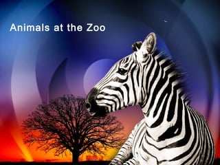Animals at the Zoo
 