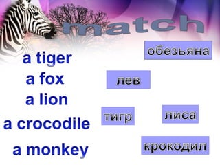 Animals at the zoo | PPS