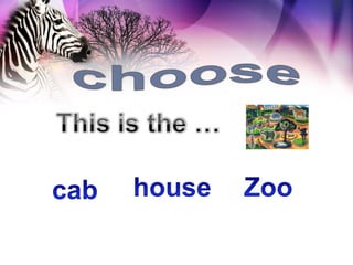 Animals at the zoo | PPS