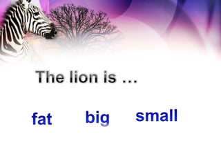 Animals at the zoo | PPS
