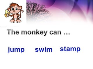 Animals at the zoo | PPS
