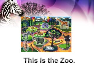 Animals at the zoo | PPS