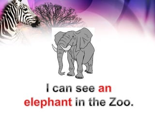 Animals at the zoo | PPS