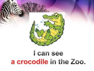 Animals at the zoo | PPS