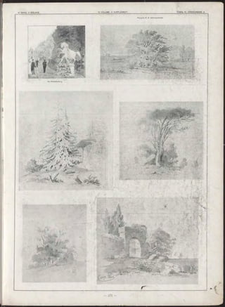 Рисунки И. И. Ш ап ош н и кова.
П о H itte n k o fe r’y.
 