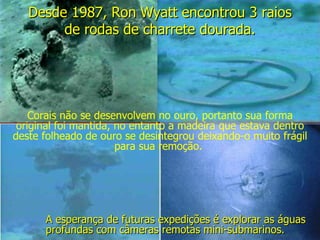 Desde 1987, Ron Wyatt encontrou 3 raios de rodas de charrete dourada. Corais não se desenvolvem no ouro, portanto sua forma original foi mantida, no entanto a madeira que estava dentro deste folheado de ouro se desintegrou deixando-o muito frágil para sua remoção.  A esperança de futuras expedições é explorar as águas profundas com câmeras remotas mini-submarinos. 