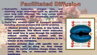  Hydrophilic molecules, charged ions, and
relatively large molecules such as glucose all
need help with diffusion. The help comes from
special proteins in the membrane known as
transport proteins.
 There are several types of transport proteins,
including channel proteins and carrier proteins.
 Channel proteins form pores, or tiny holes, in
the membrane. This allows water molecules
and small ions to pass through the membrane
without coming into contact with the
hydrophobic tails of the lipid molecules in the
interior of the membrane.
 Carrier proteins bind with specific ions or
molecules, and in doing so, they change
shape. As carrier proteins change shape, they
carry the ions or molecules across the
membrane.
 