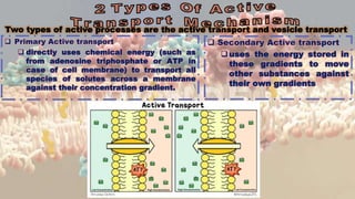Two types of active processes are the active transport and vesicle transport
 Primary Active transport
 directly uses chemical energy (such as
from adenosine triphosphate or ATP in
case of cell membrane) to transport all
species of solutes across a membrane
against their concentration gradient.
 Secondary Active transport
uses the energy stored in
these gradients to move
other substances against
their own gradients
 