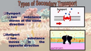 19
Symport
 two substance
moves at the same
direction
Antiport
 two substance
moves in the
opposite direction
 