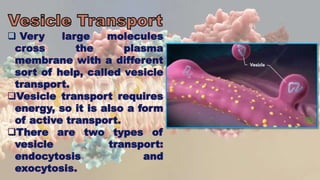  Very large molecules
cross the plasma
membrane with a different
sort of help, called vesicle
transport.
Vesicle transport requires
energy, so it is also a form
of active transport.
There are two types of
vesicle transport:
endocytosis and
exocytosis.
 