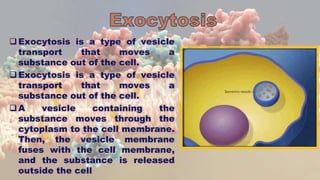 Exocytosis is a type of vesicle
transport that moves a
substance out of the cell.
Exocytosis is a type of vesicle
transport that moves a
substance out of the cell.
A vesicle containing the
substance moves through the
cytoplasm to the cell membrane.
Then, the vesicle membrane
fuses with the cell membrane,
and the substance is released
outside the cell
 